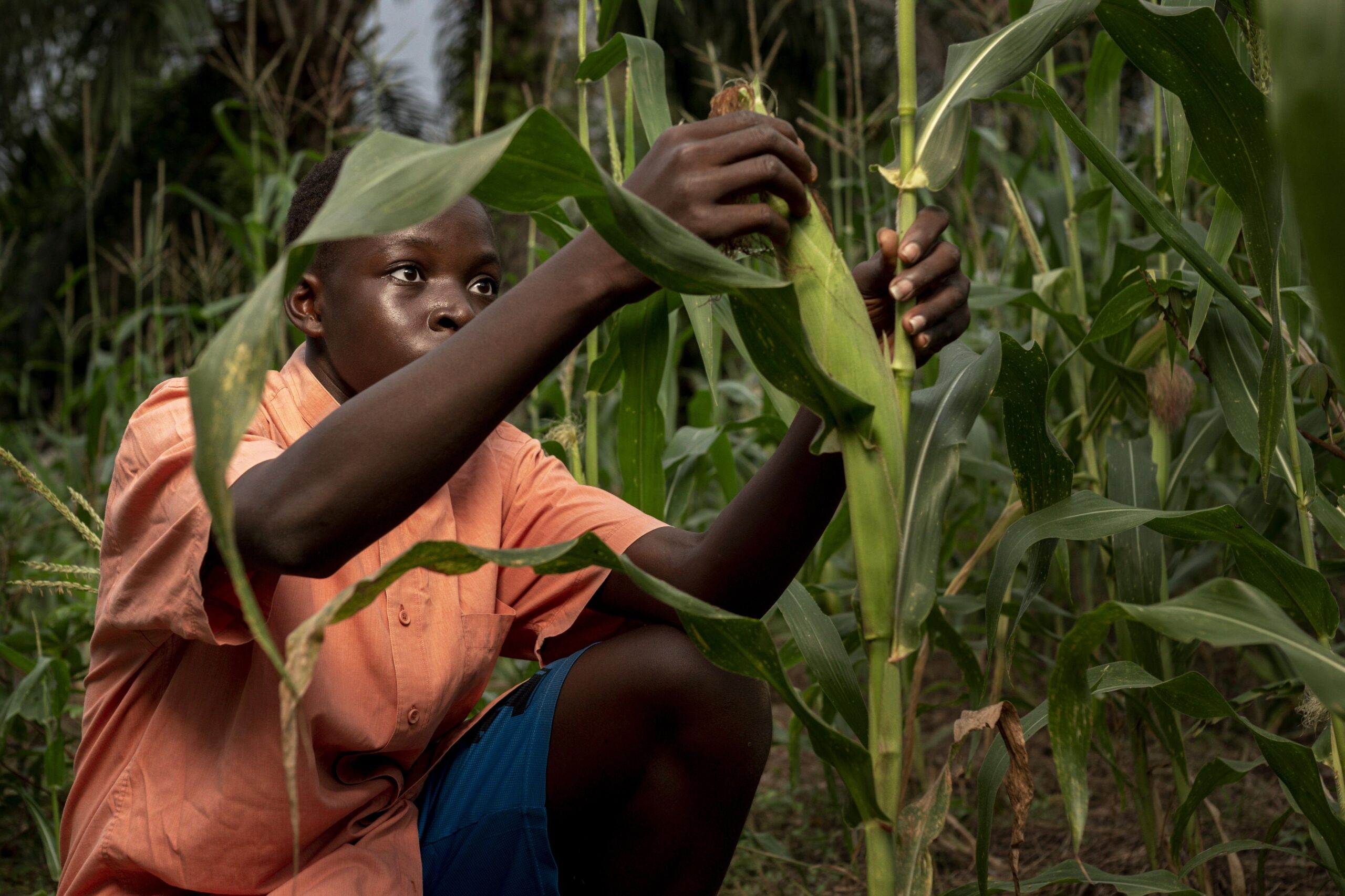 Local farmers